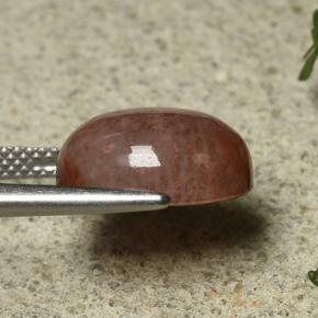 Coral Gemstone in 12.9 x 10.8 mm Size for Sale, Coral Stone in Multicolor Color