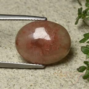 8.30 ct Multicolor Coral Stone, Natural Coral in Oval Cabochon Shape for Sale
