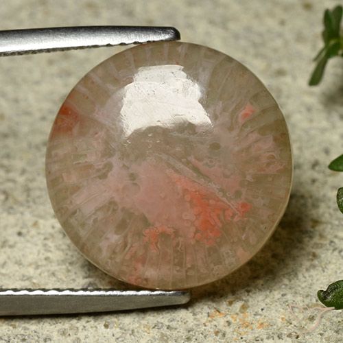 8.34 ct Round Coral, 15.1 mm From Indonesia, Photo A