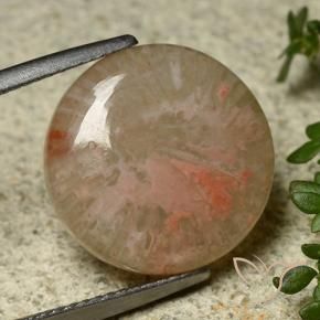 8.34 ct Multicolor Coral Stone, Natural Coral in Round Cabochon Shape for Sale
