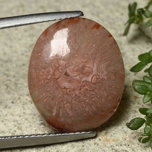 7.04ct Natural Multicolor Coral, Oval, Translucent