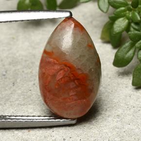 Multicolor Coral Gem - 4.8ct Pear Cabochon (ID: 492252)