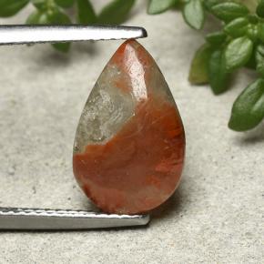 3ct Pear Cabochon Multicolor Coral for sale thumb image of 3ct Pear Cabochon Multicolor Coral (ID: 492253)