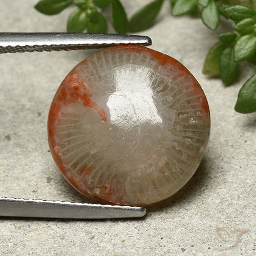 7.8 ct Round Coral, 15.5 mm From Indonesia, Photo A