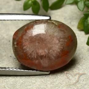7.03 ct Multicolor Coral Stone, Natural Coral in Oval Cabochon Shape for Sale