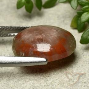 Coral Gemstone in 15.2 x 12 mm Size for Sale, Coral Stone in Multicolor Color