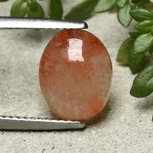 Многоцветный Коралл Камень - 3.3ct Овал Кабошон (ID: 492260)