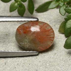 1.88 ct Multicolor Coral Stone, Natural Coral in Oval Cabochon Shape for Sale