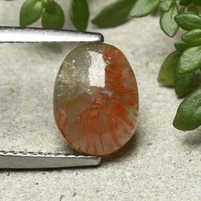 Coral Gemstone in 10.3 x 7.8 mm Size for Sale, Coral Stone in Multicolor Color