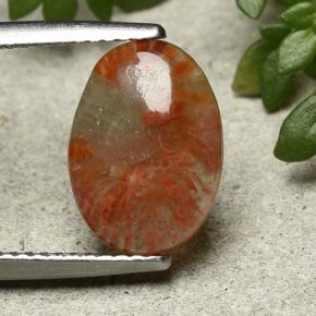 2.5ct Oval Cabochon Multicolor Coral Gem for sale 2.5ct Oval Cabochon Multicolor Coral Gem (ID: 492263)