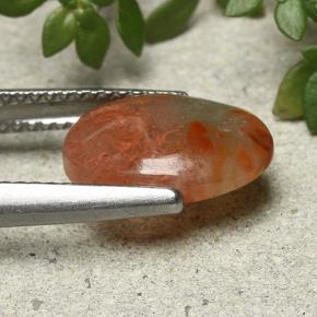 Coral Gemstone in 12.2 x 8.8 mm Size for Sale, Coral Stone in Multicolor Color