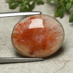 13.21 ct Multicolor Coral Stone, Natural Coral in Oval Cabochon Shape for Sale