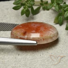 Coral Gemstone in 19.3 x 15.7 mm Size for Sale, Coral Stone in Multicolor Color