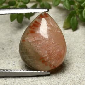 5.26 ct Multicolor Coral Gemstone, Coral Gem in Pear Cabochon Shape for Sale.