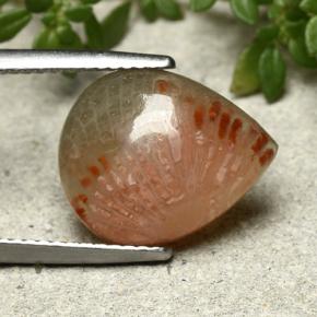 5.26 ct Multicolor Coral Stone, Natural Coral in Pear Cabochon Shape for Sale