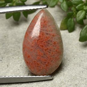 Multicolor Coral Gem - 3.9ct Pear Cabochon (ID: 492266)