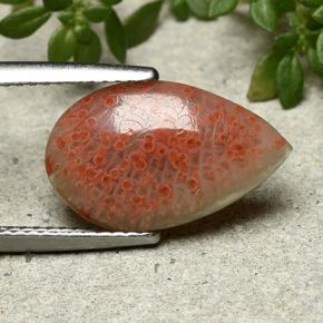 3.94 ct Multicolor Coral Stone, Natural Coral in Pear Cabochon Shape for Sale