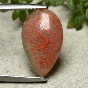 Coral Gemstone in 16.3 x 9.9 mm Size for Sale, Coral Stone in Multicolor Color