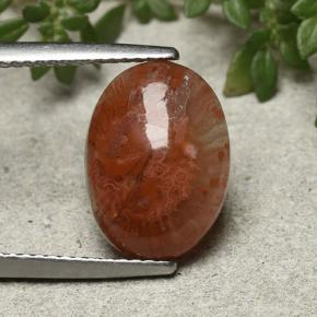 4.35 ct Multicolor Coral Gemstone, Coral Gem in Oval Cabochon Shape for Sale.