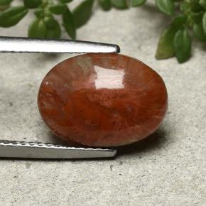 4.35 ct Multicolor Coral Stone, Natural Coral in Oval Cabochon Shape for Sale