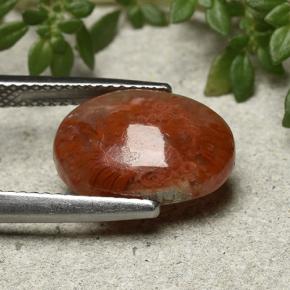 Coral Gemstone in 13.5 x 9.8 mm Size for Sale, Coral Stone in Multicolor Color