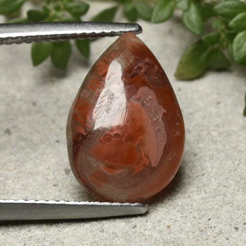 Многоцветный Коралл Камень - 4.7ct Груша Кабошон (ID: 492268)