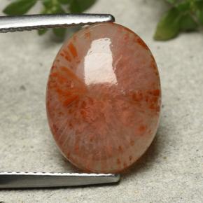 Multicolor Coral Gem - 7.2ct Oval Cabochon (ID: 492269)