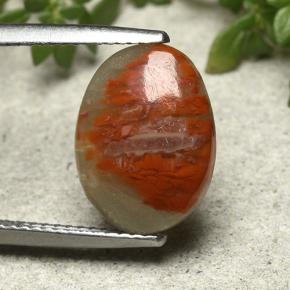 3.86 ct Multicolor Coral Gemstone, Coral Gem in Oval Cabochon Shape for Sale.