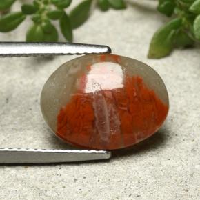 3.86 ct Multicolor Coral Stone, Natural Coral in Oval Cabochon Shape for Sale