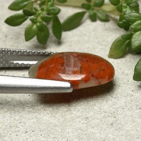 Coral Gemstone in 14 x 10 mm (calibrated) Size for Sale, Coral Stone in Multicolor Color