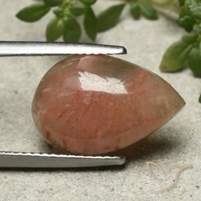 6.28 ct Multicolor Coral Stone, Natural Coral in Pear Cabochon Shape for Sale