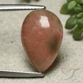 Coral Gemstone in 16.1 x 10.7 mm Size for Sale, Coral Stone in Multicolor Color