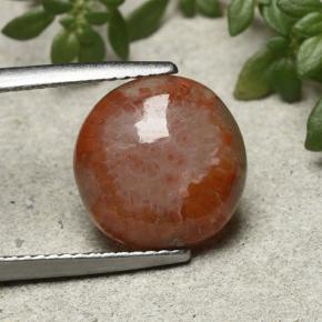 4.21 ct Multicolor Coral Gemstone, Coral Gem in Round Cabochon Shape for Sale.