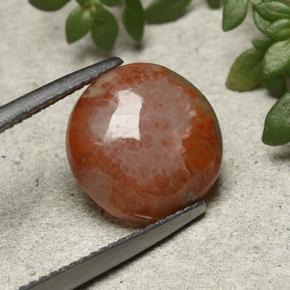4.21 ct Multicolor Coral Stone, Natural Coral in Round Cabochon Shape for Sale