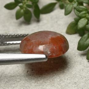 Coral Gemstone in 12 mm (calibrated) Size for Sale, Coral Stone in Multicolor Color
