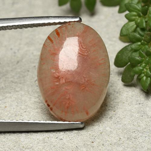 Multicolor Coral Gem - 7.6ct Oval Cabochon (ID: 492273)