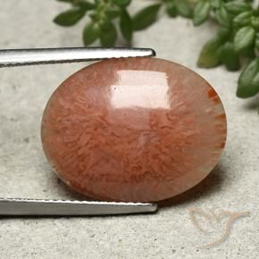 9.51 ct Multicolor Coral Stone, Natural Coral in Oval Cabochon Shape for Sale