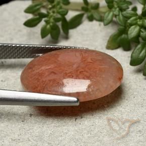 Coral Gemstone in 20 x 15 mm (calibrated) Size for Sale, Coral Stone in Multicolor Color