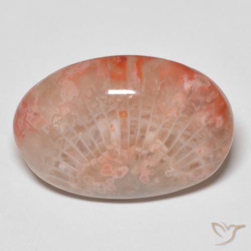 11.96 ct Multicolor Coral Gemstone, Coral Gem in Oval Cabochon Shape for Sale.