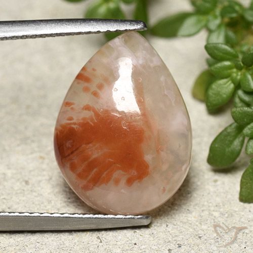 6.43 ct Pear Coral, 16.3 x 12.2 mm From Indonesia, Photo A