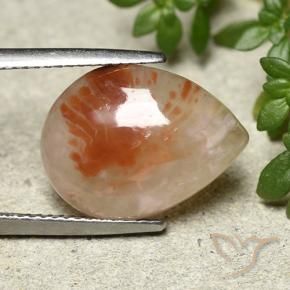 6.43 ct Multicolor Coral Stone, Natural Coral in Pear Cabochon Shape for Sale