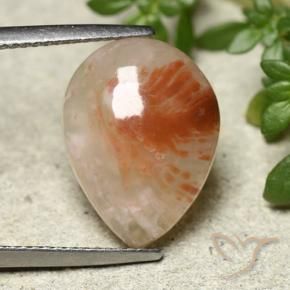 Coral Gemstone in 16 x 12 mm (calibrated) Size for Sale, Coral Stone in Multicolor Color