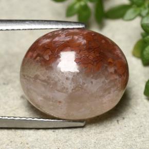 12.54 ct Multicolor Coral Stone, Natural Coral in Oval Cabochon Shape for Sale