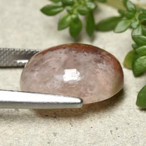 Coral Gemstone in 16.2 x 13.6 mm Size for Sale, Coral Stone in Multicolor Color