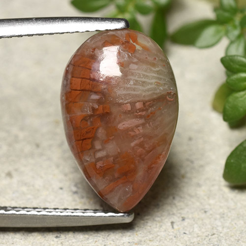 Multicolor Coral Gem - 4.5ct Pear Cabochon (ID: 492365)