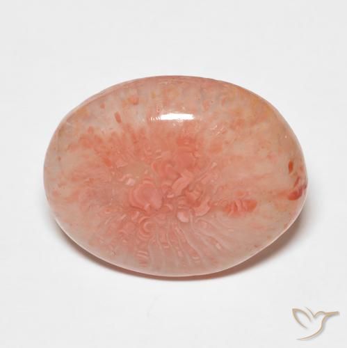 7.43ct Natural Multicolor Coral, Oval, Translucent