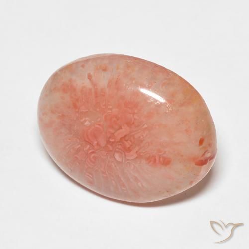 7.43ct Natural Multicolor Coral, Oval, Translucent