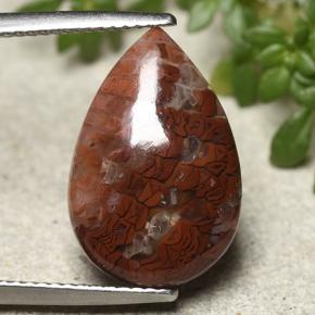 Multicolor Coral Gem - 5.9ct Pear Cabochon (ID: 492368)