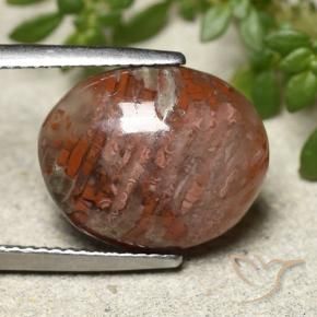 7.28 ct Multicolor Coral Stone, Natural Coral in Oval Cabochon Shape for Sale