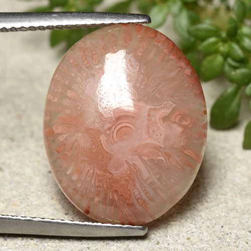 Многоцветный Коралл Камень - 8.5ct Овал Кабошон (ID: 492370)